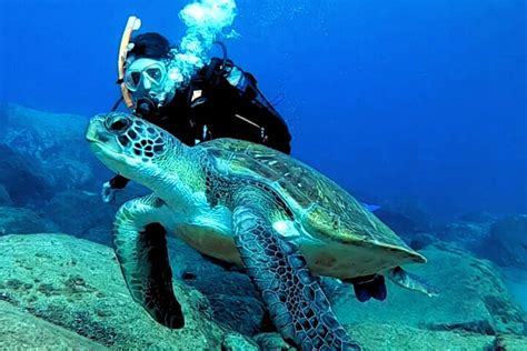 Scuba Excursion Tips