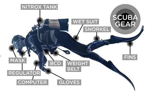 Scuba Gear Explained