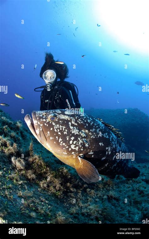 Scuba diver Sardinia