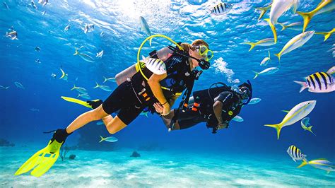 Scuba diving experience