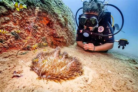 Scuba diving in Cham Islands