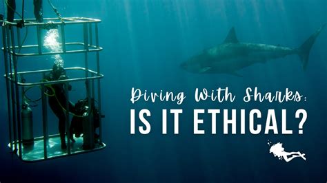 Scuba ethics