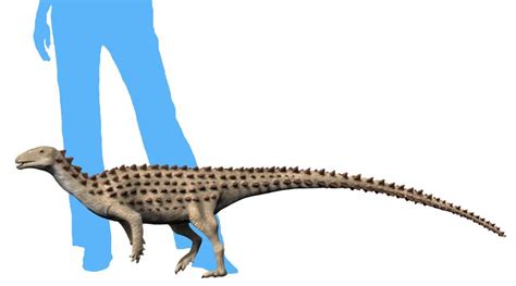 Scutellosaurus Armor