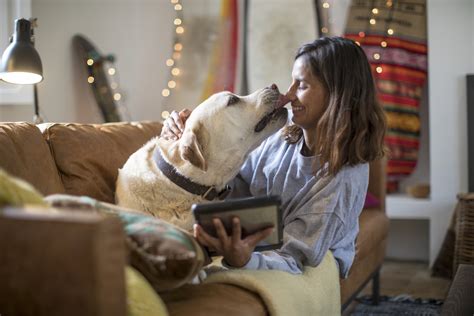 ¿Por qué nos chupan nuestros perros? Esta es la razón según los