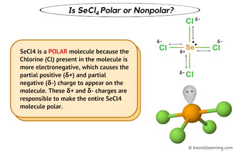 SeCl4 Polarity