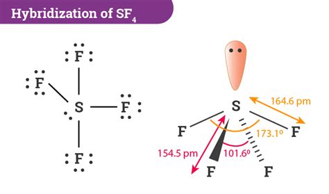 SeF4 Hybridization