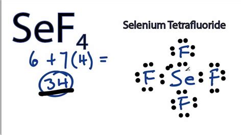 SeF4 Lewis Structure