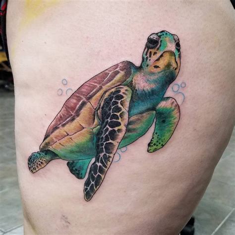 15+ Best Turtle and Flower Tattoo Designs Turtle tattoo