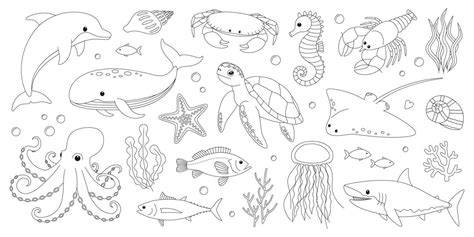 Sea Animal Coloring Page