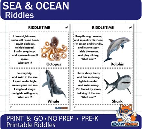 Sea Animal Riddles For Kids