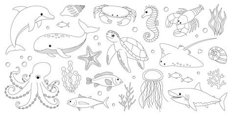 Sea Creature Coloring Page