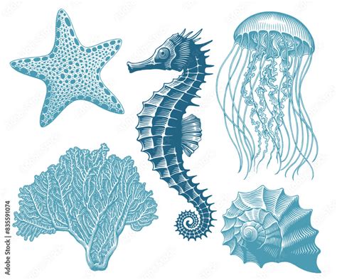 Sea Creatures Design Set
