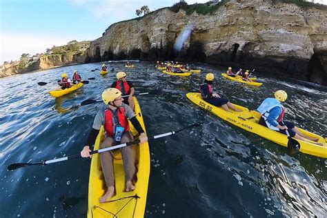 Sea Kayak Tour Booking