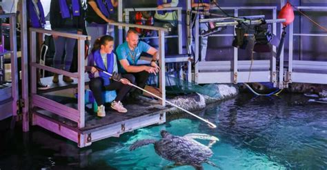 Sea Life Behind the Scenes Tour
