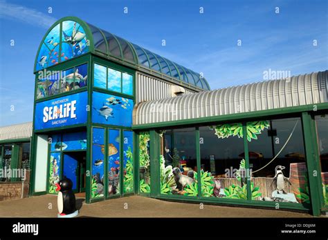 Sea Life Hunstanton Review: Is it worth visiting in 2024?