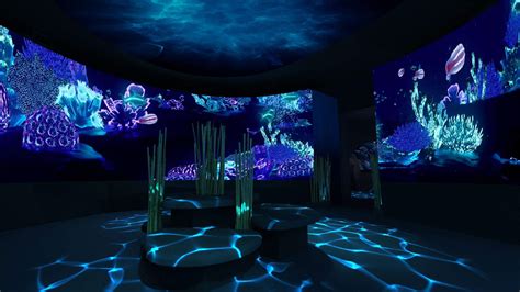 Sea Life Interactive Exhibits