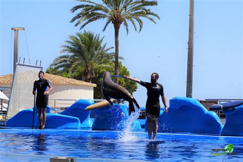 Sea Life Mallorca