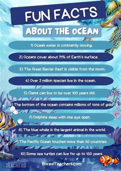 Sea Life Ocean Facts For Kids
