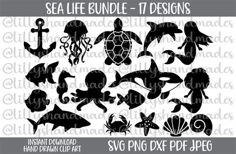 Discover the Wonders of the Ocean with Stunning Sea Life SVG Designs