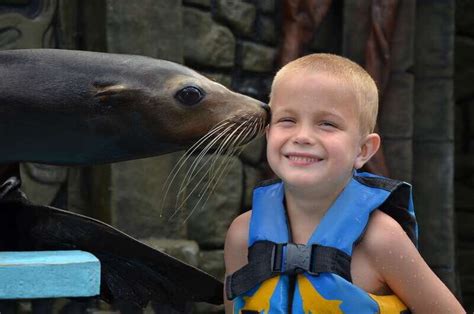 Sea Lion Program Cozumel