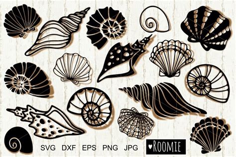 Download Sea Shells Bundle | Cut Files For Cricut