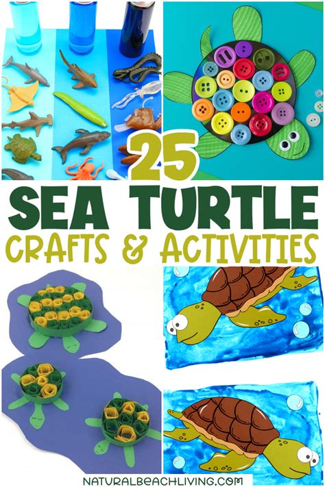 Sea Turtle Activity