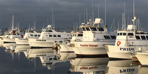 Seaforth Landing Fishing