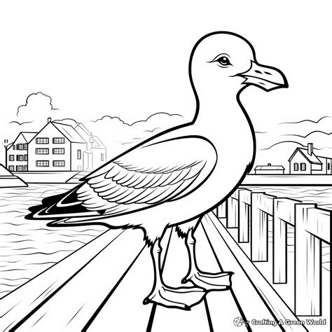 Seagull Coloring Pages