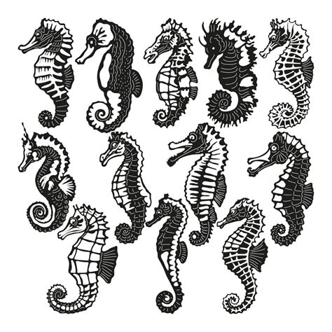 Download Seahorse Bundle DXF Files
