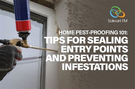 Sealing Entry Points: Preventing Re-Infestation