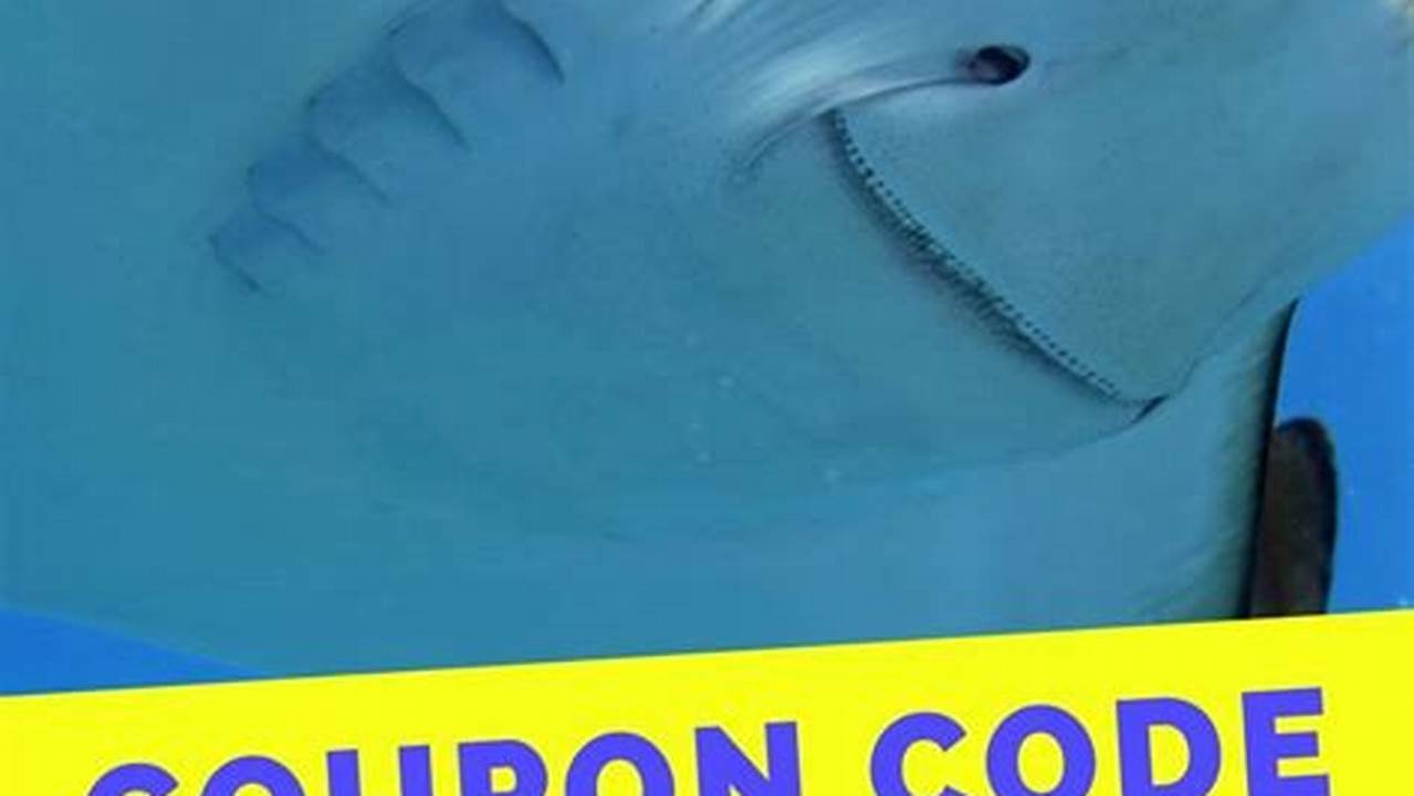 Seaquest Promo Code 2024