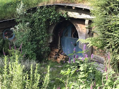 Search ARMI Database