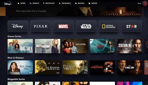 Search Disney Plus Catalog