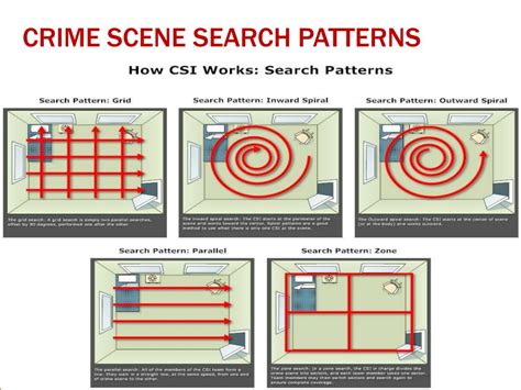 Search Patterns For A Crime Scene