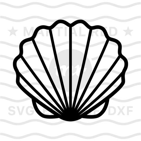 Seashell