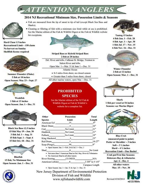 Seasonal Fishing Regulations