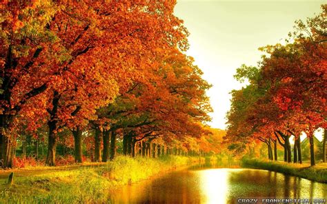 Seasonal