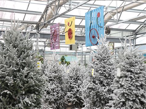 Seasonal and Unique Finds