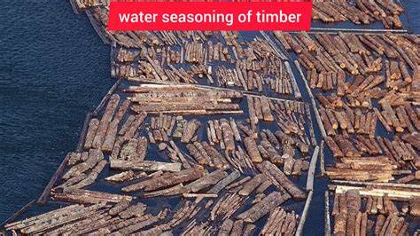 Seasoning the water