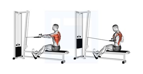 Seated Row Cable