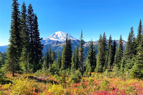 Seattle in September