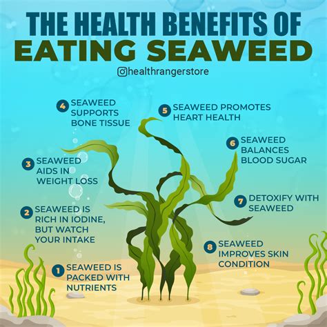 Seaweed Benefits