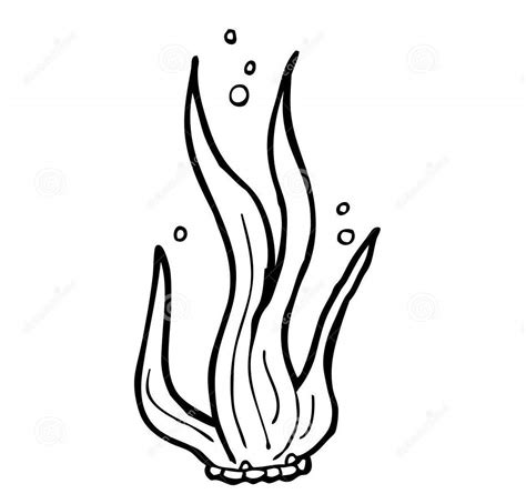 Seaweed Coloring Pages