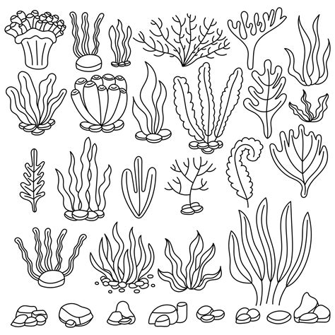 Seaweed Printables