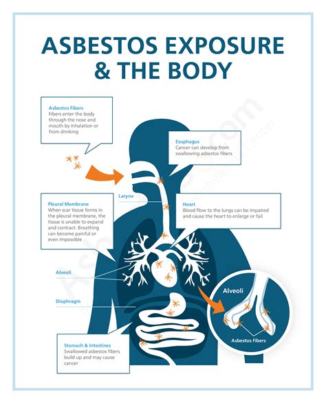 Secondhand Asbestos Exposure Risks