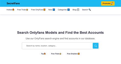 SecretFans features interface