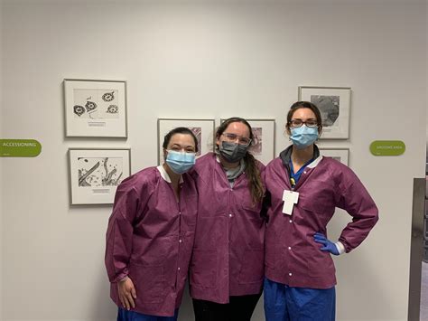 Sectioning For Success