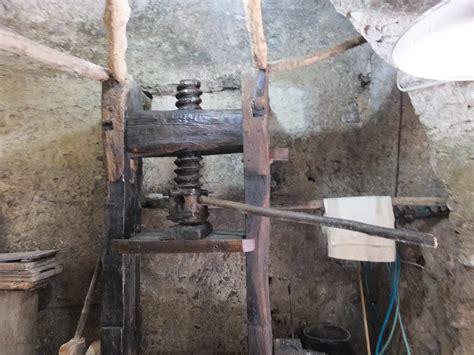 Secure Your Museum Ticket