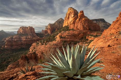 Sedona Landscapes