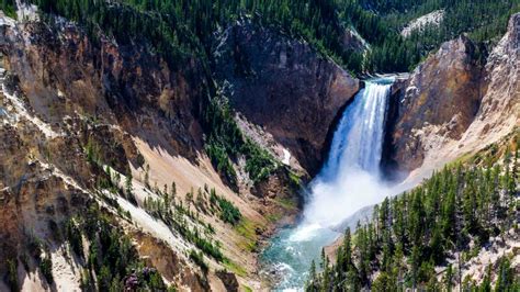 See Yellowstone Tours